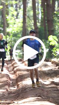 BIB:  <button type="button" onclick="openModal(26569454)" class="btn btn-primary btn-sm float-right" data-toggle="modal" data-target=".modal-high-quality">
                <i class="fa fa-download"></i> Download
                </button>